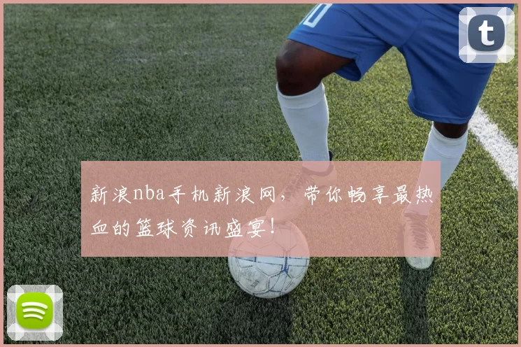 新浪nba手机新浪网，带你畅享最热血的篮球资讯盛宴！