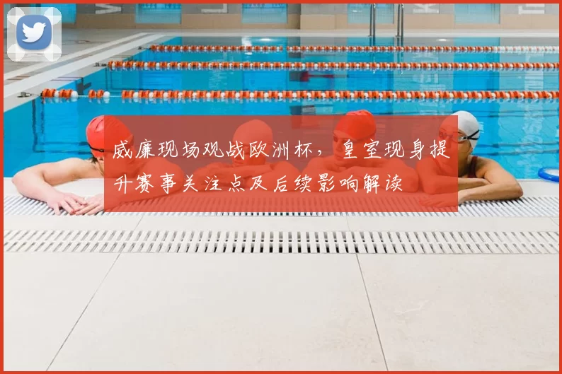 威廉现场观战欧洲杯，皇室现身提升赛事关注点及后续影响解读