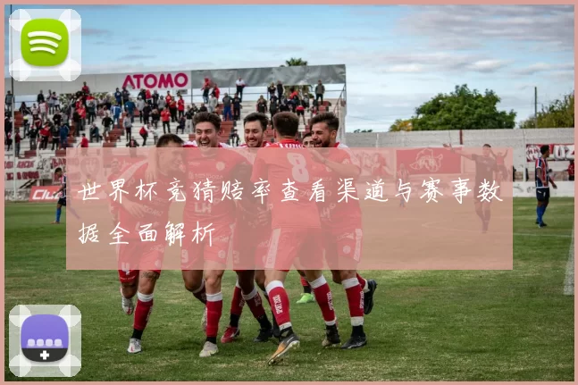 世界杯竞猜赔率查看渠道与赛事数据全面解析