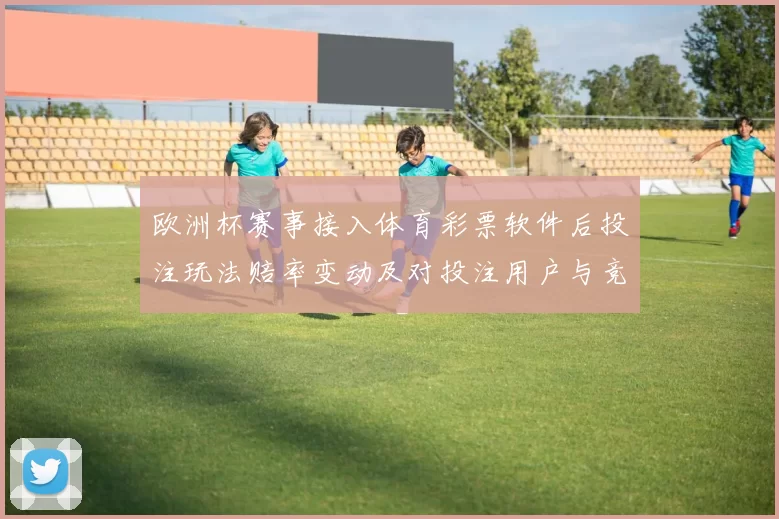欧洲杯赛事接入体育彩票软件后投注玩法赔率变动及对投注用户与竞彩机构影响分析